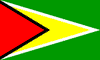 Guyana FlagFan